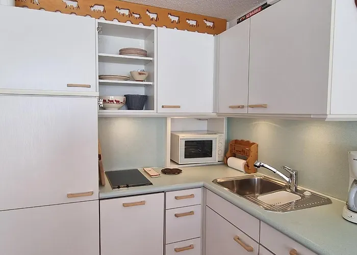 Apartment Confortable, Pied Des Pistes, Balcon Sud - Fr-1-181-2731